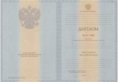 Диплом специалиста 2011-2013 год 